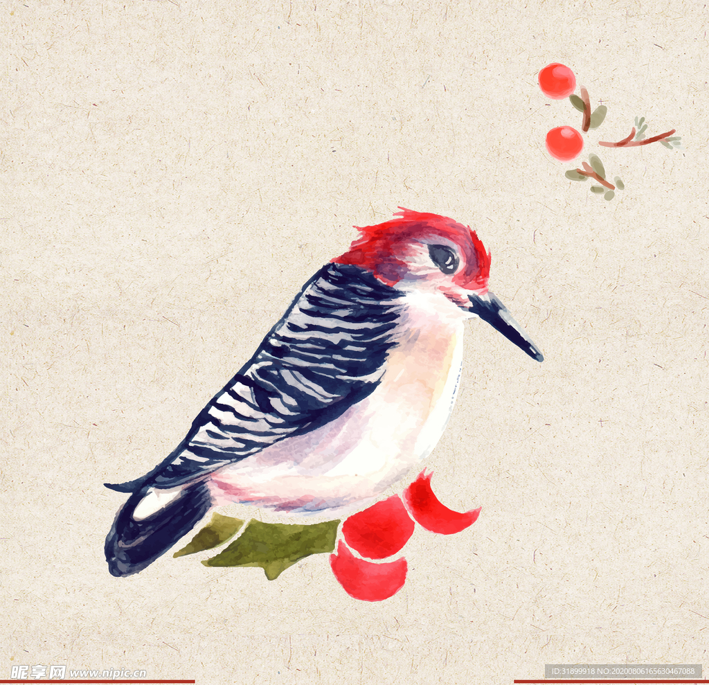 矢量动物 矢量植物 插画 手绘