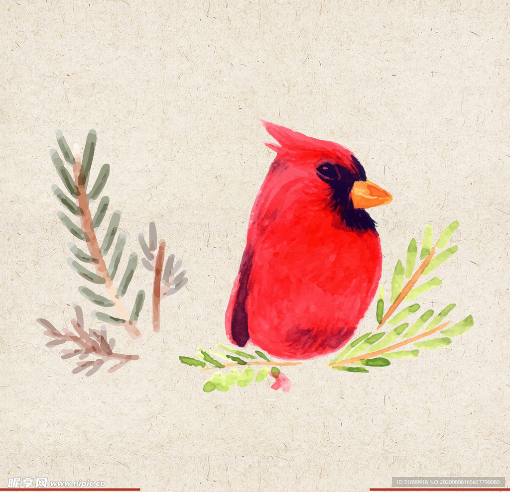 矢量动物 矢量植物 插画 手绘