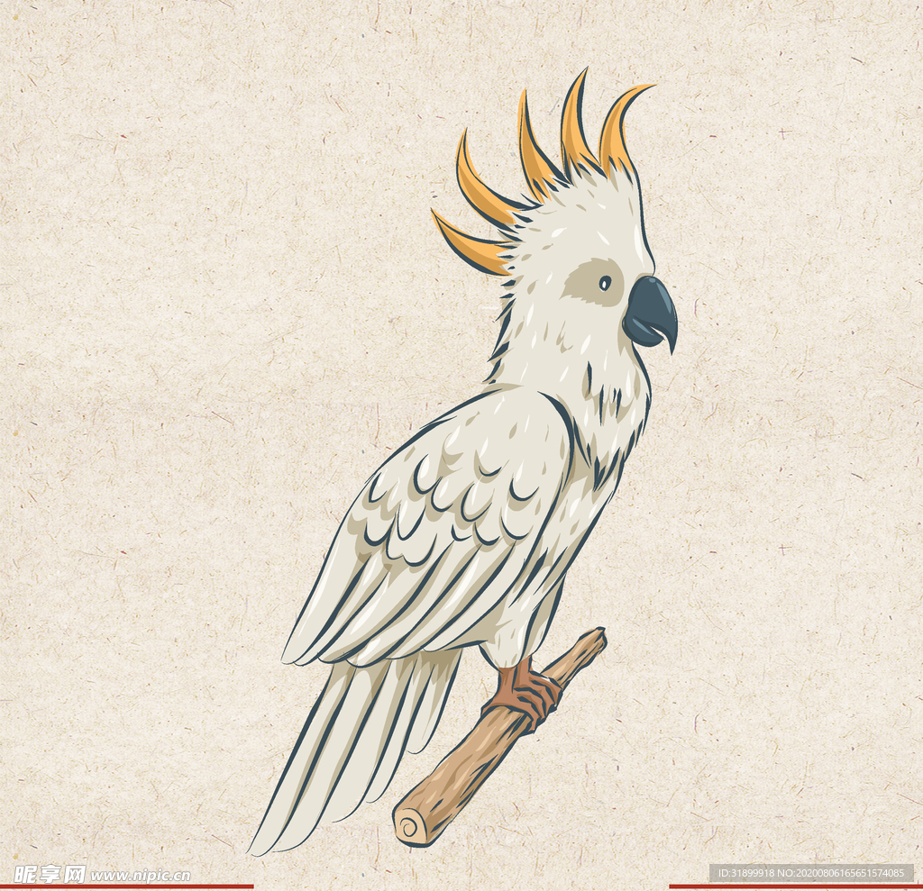 矢量动物 矢量植物 插画 手绘