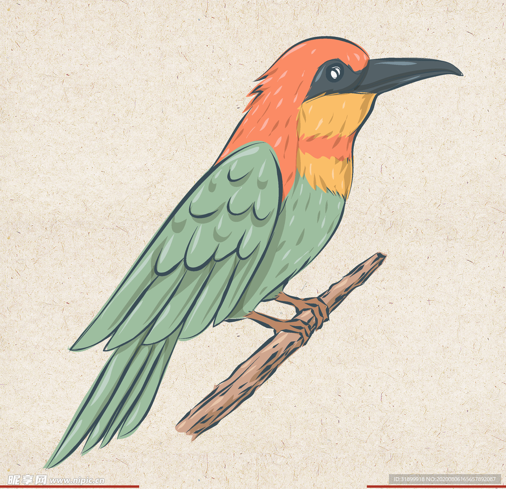 矢量动物 矢量植物 插画 手绘