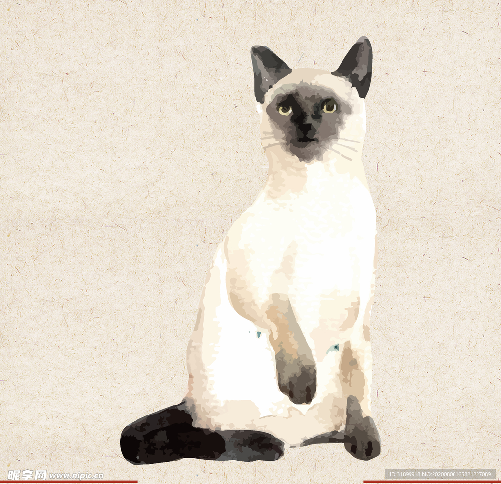 矢量动物 矢量植物 插画 手绘