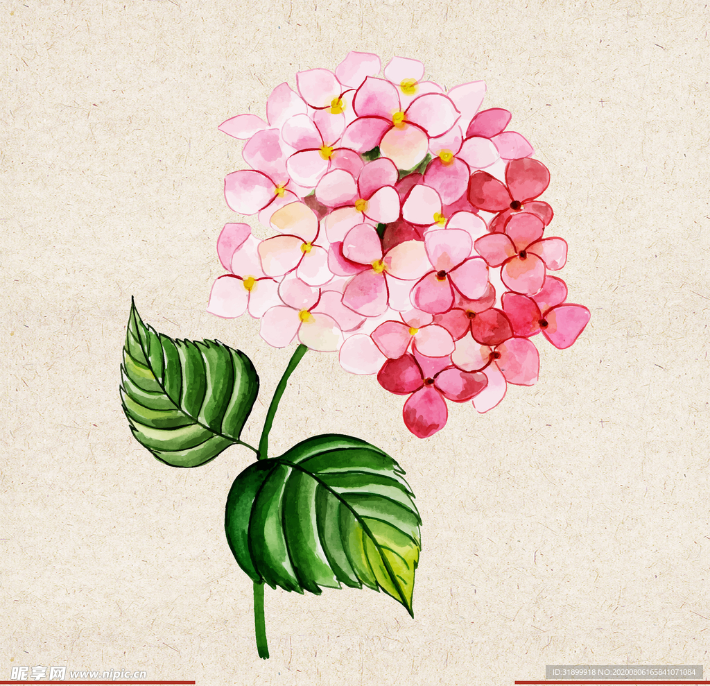 矢量动物 矢量植物 插画 手绘