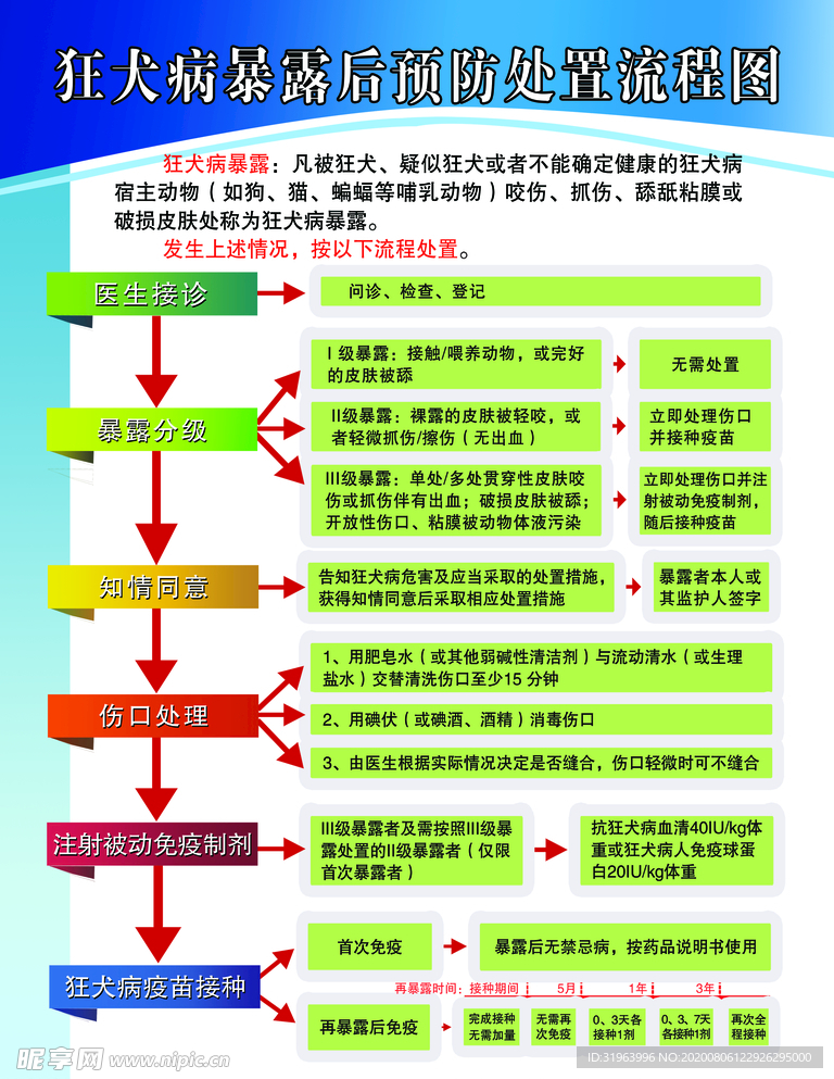 狂犬病暴露后预防处置流程图