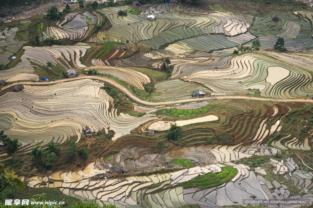 梯田风景图片