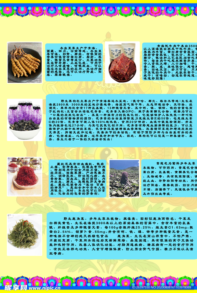 冬虫夏草  雪莲 藏红花