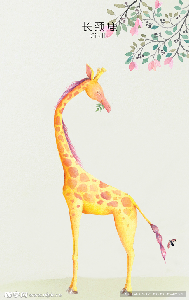 插画卡通墙贴墙画壁画背景素材