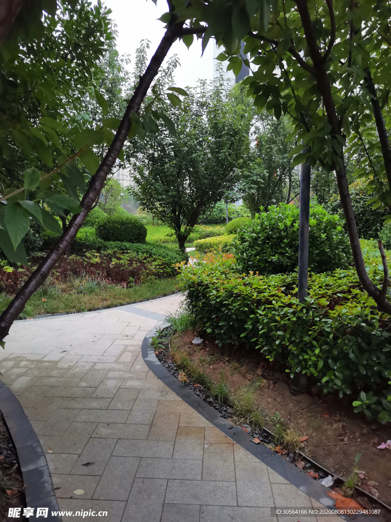 公园人行道夏季雨季背景素材