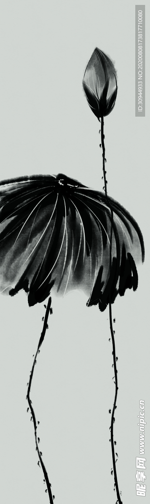 水墨荷花装饰画
