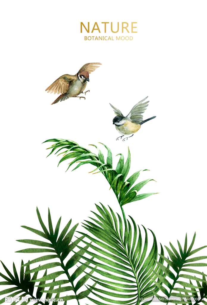 绿色植物装饰画