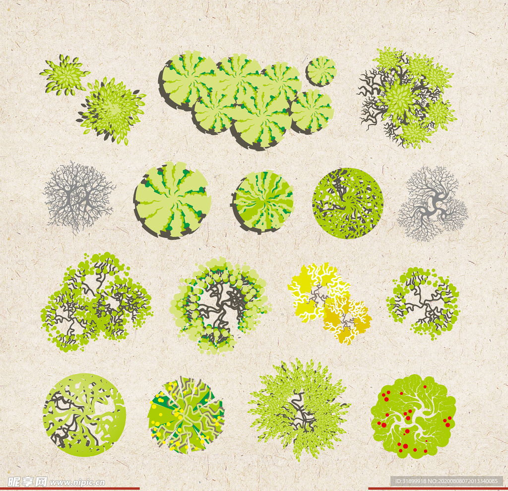 矢量动物 矢量植物 插画 手绘
