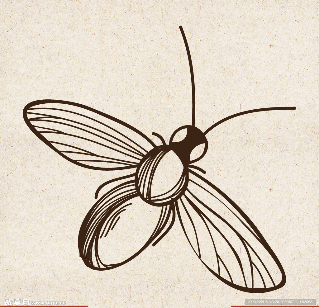 矢量动物 矢量植物 插画 手绘