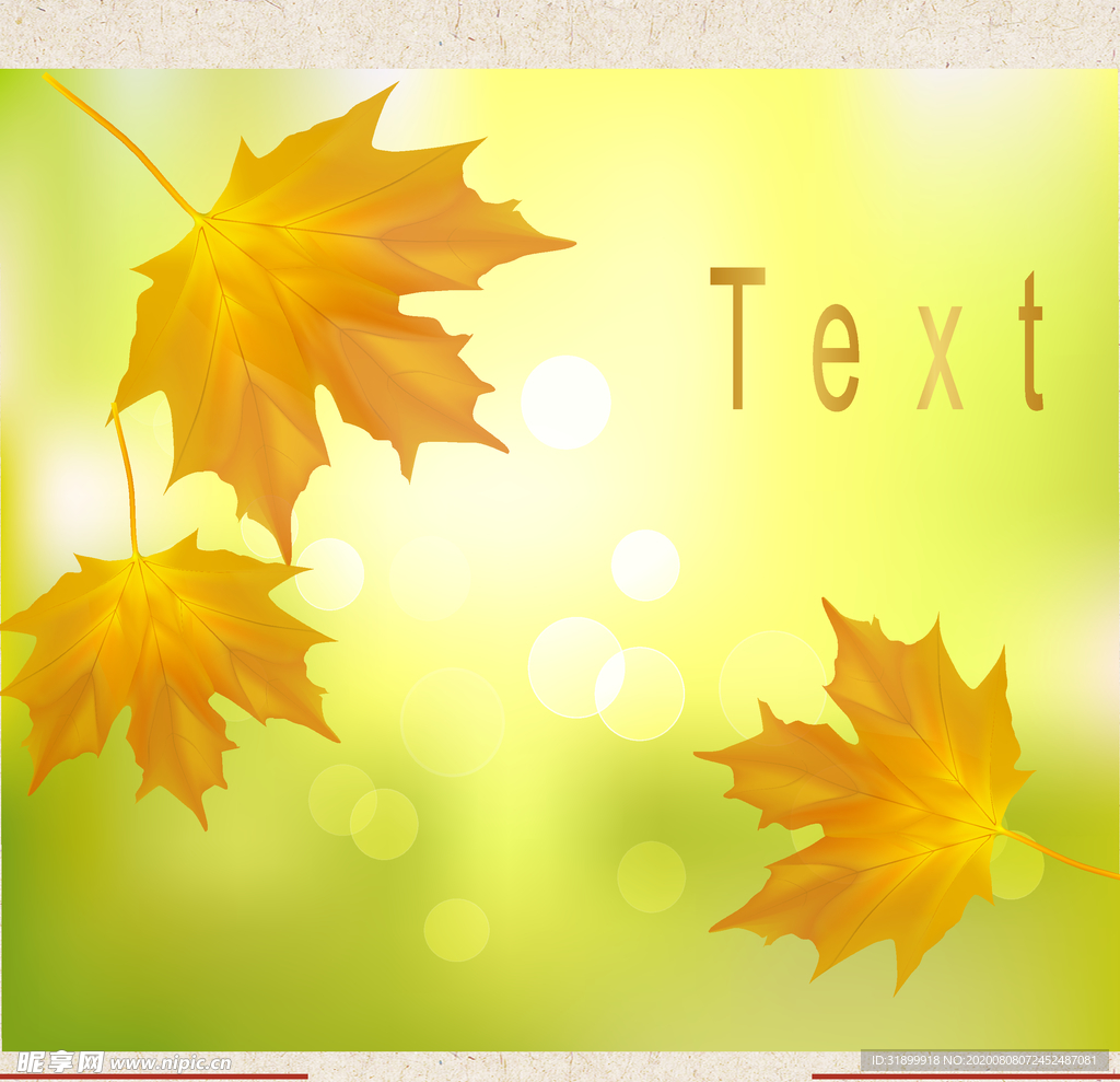 矢量动物 矢量植物 插画 手绘