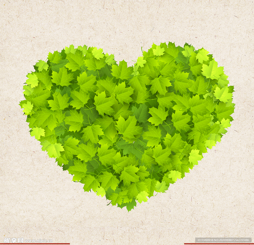 矢量动物 矢量植物 插画 手绘