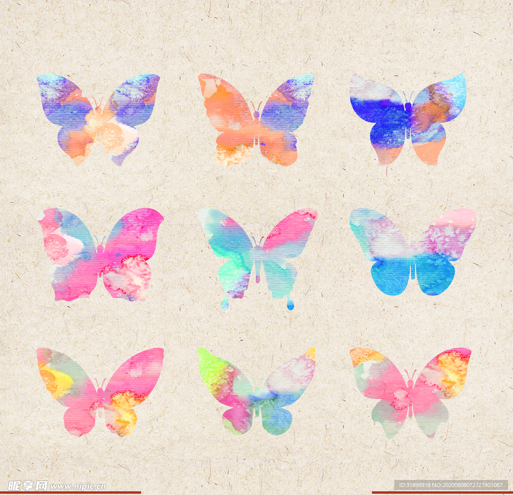 矢量动物 矢量植物 插画 手绘