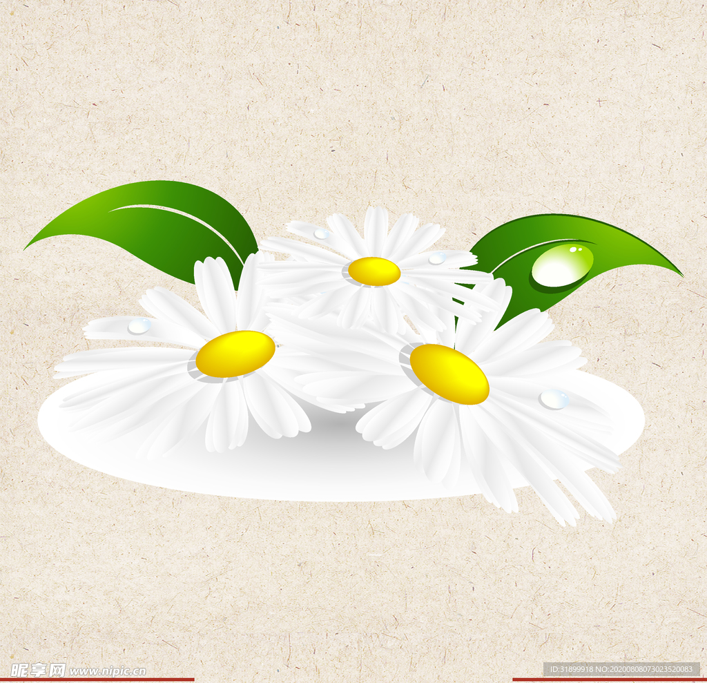 矢量动物 矢量植物 插画 手绘