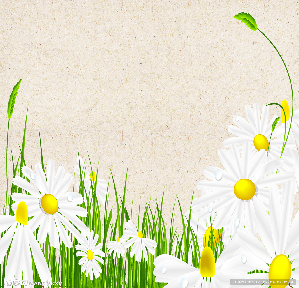 矢量动物 矢量植物 插画 手绘