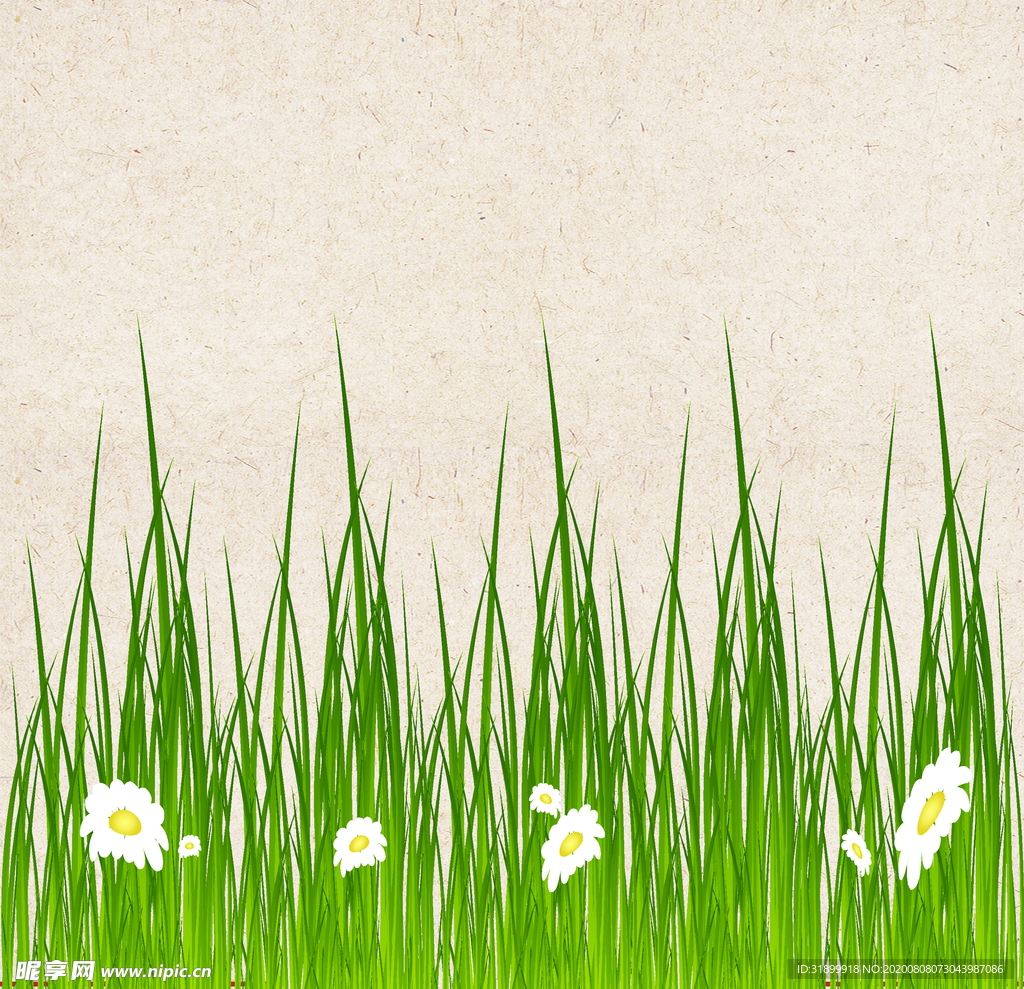 矢量动物 矢量植物 插画 手绘