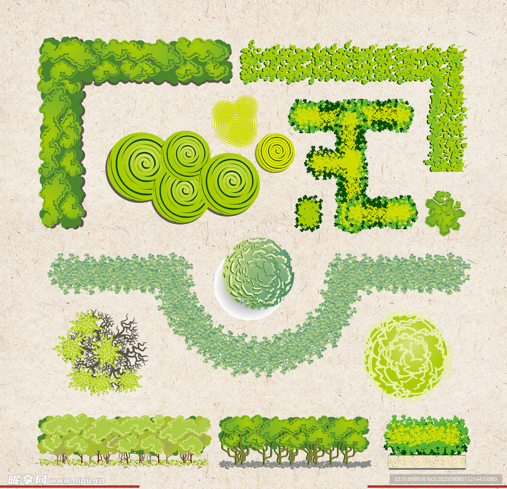 矢量动物 矢量植物 插画 手绘