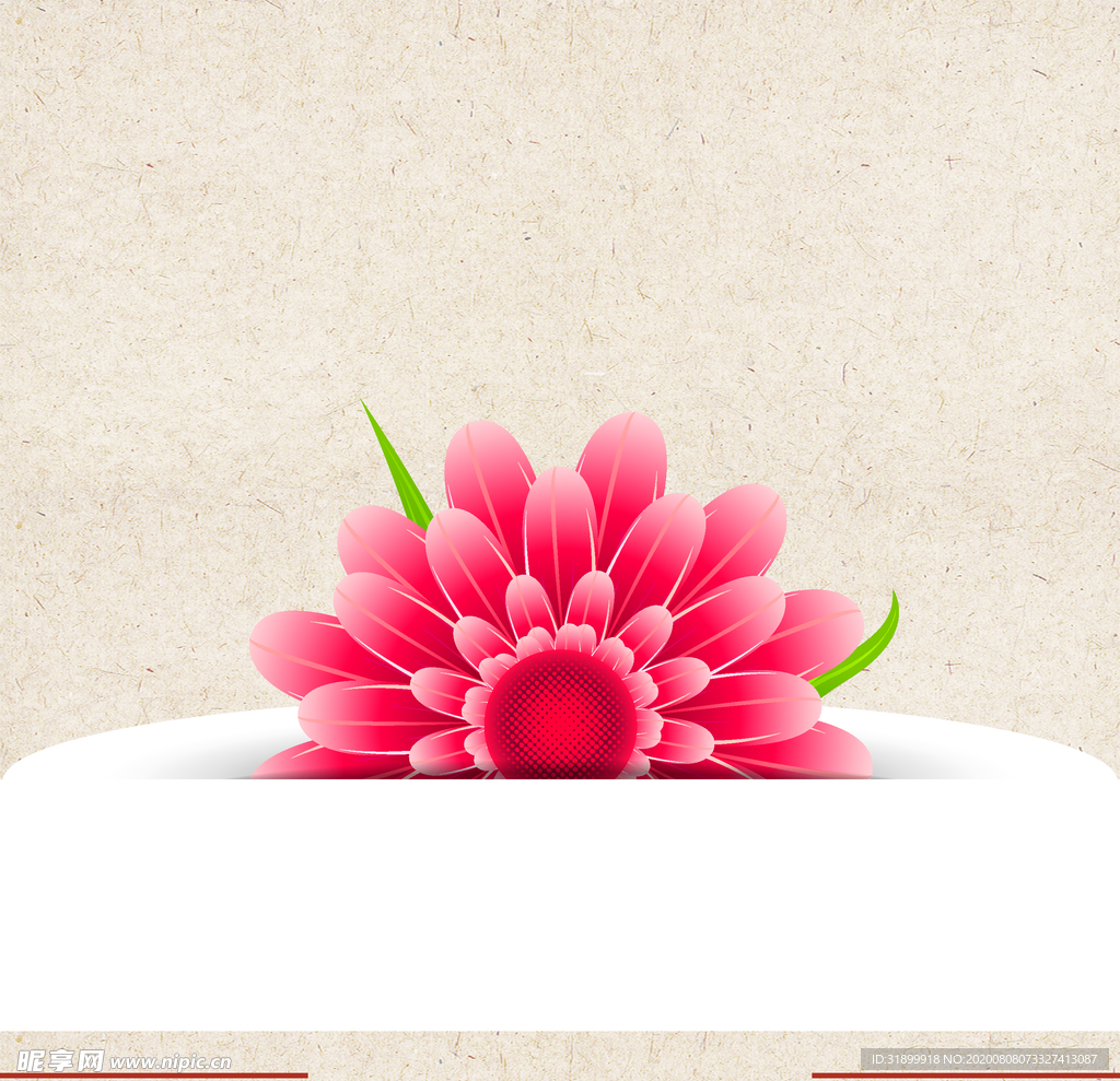 矢量动物 矢量植物 插画 手绘