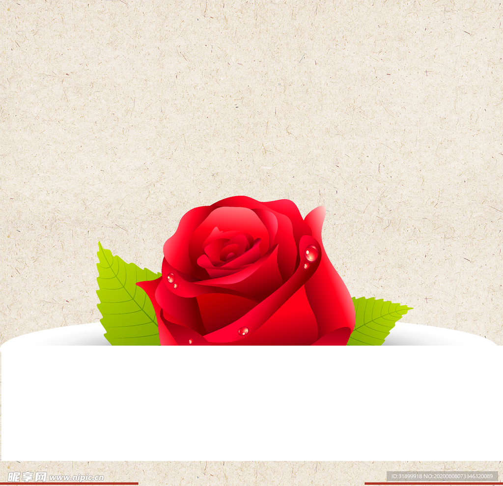 矢量动物 矢量植物 插画 手绘