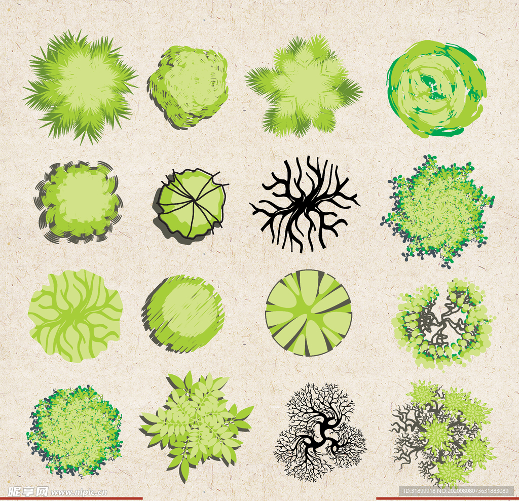 矢量动物 矢量植物 插画 手绘