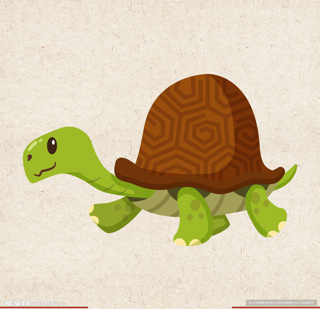 矢量动物 矢量植物 插画 手绘