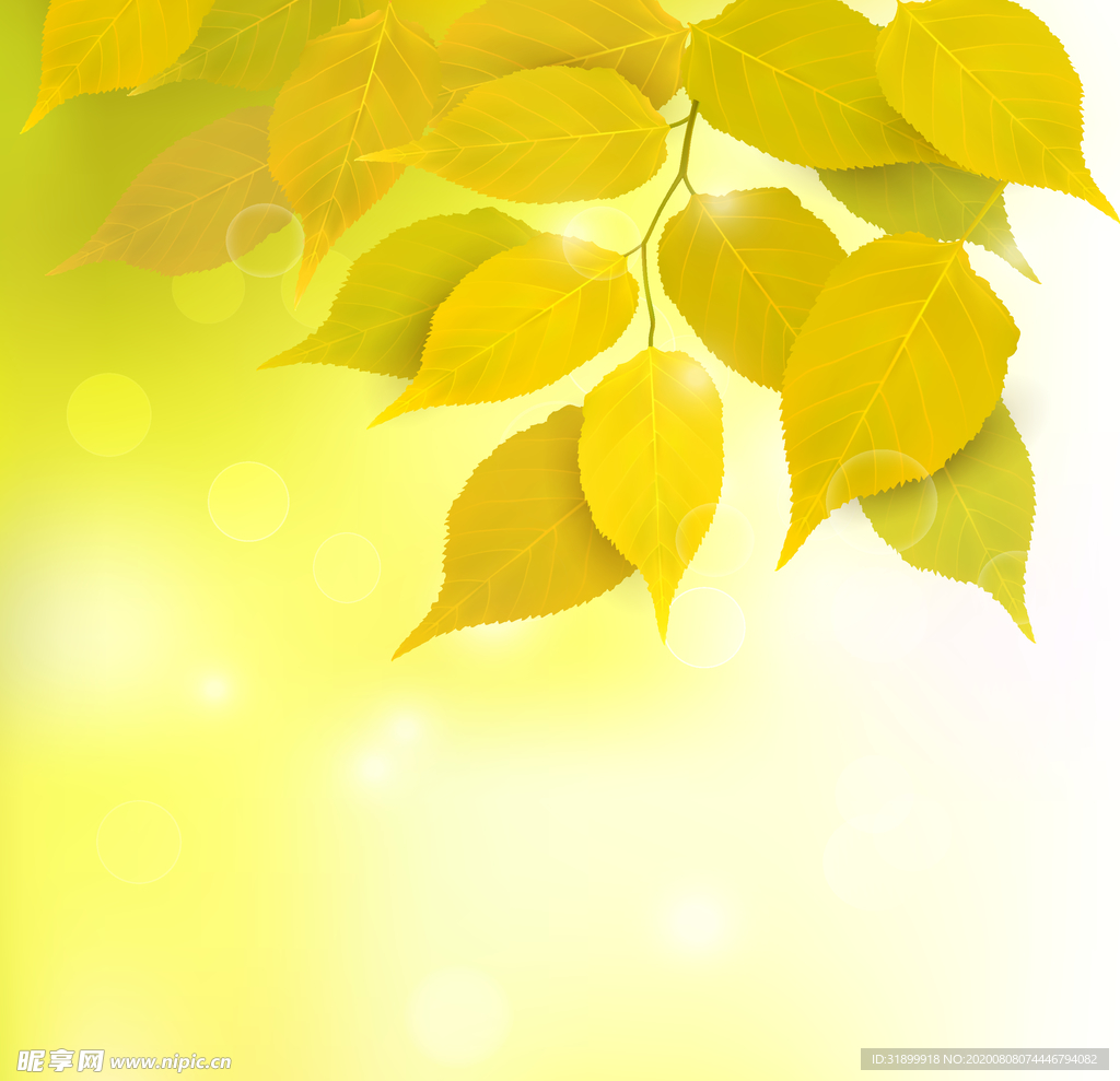 矢量动物 矢量植物 插画 手绘