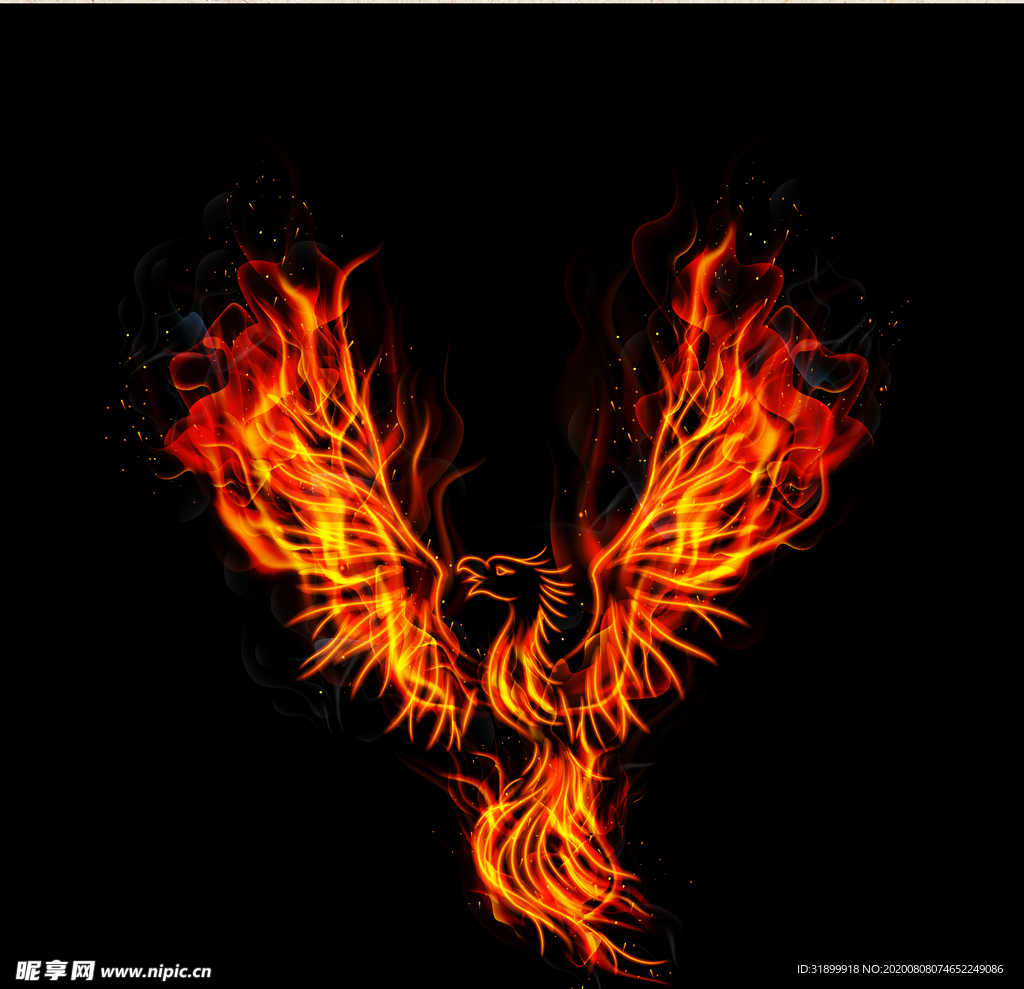 矢量动物 矢量植物 插画 手绘