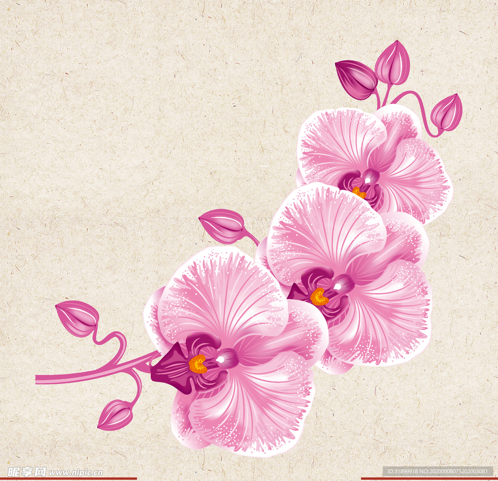 矢量动物 矢量植物 插画 手绘