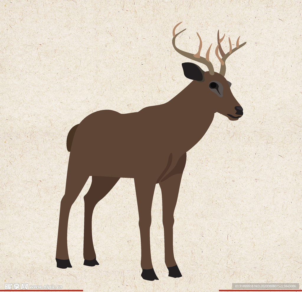 矢量动物 矢量植物 插画 手绘