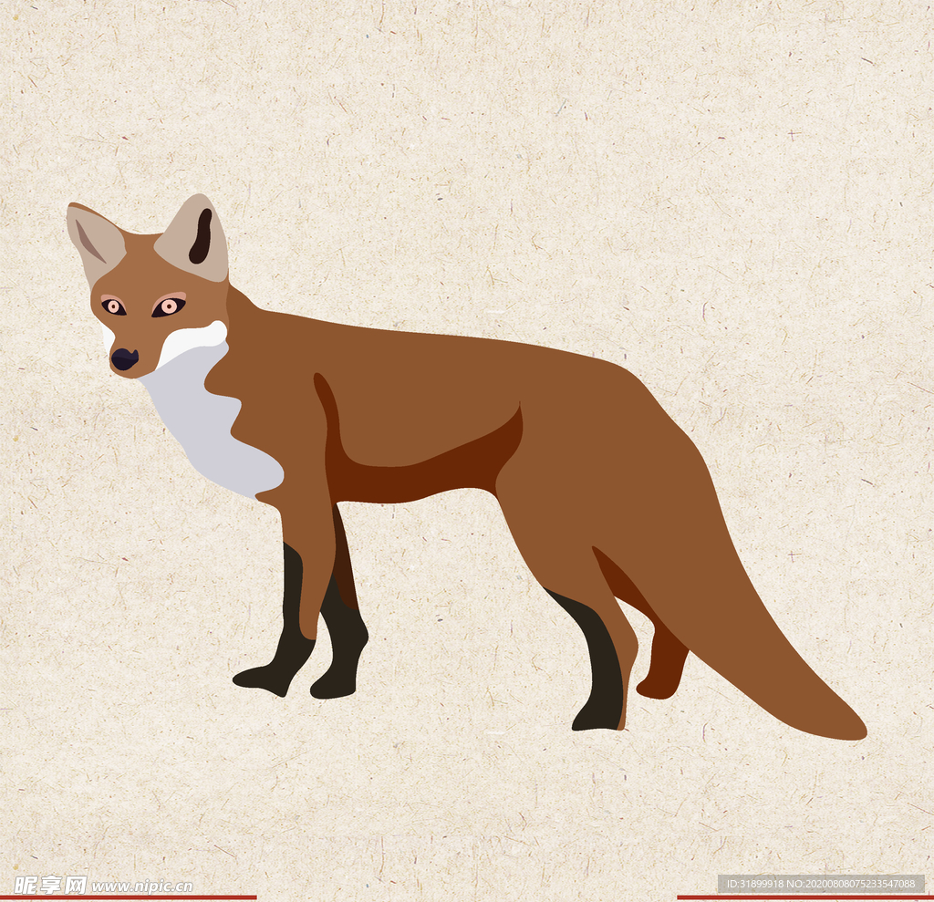 矢量动物 矢量植物 插画 手绘