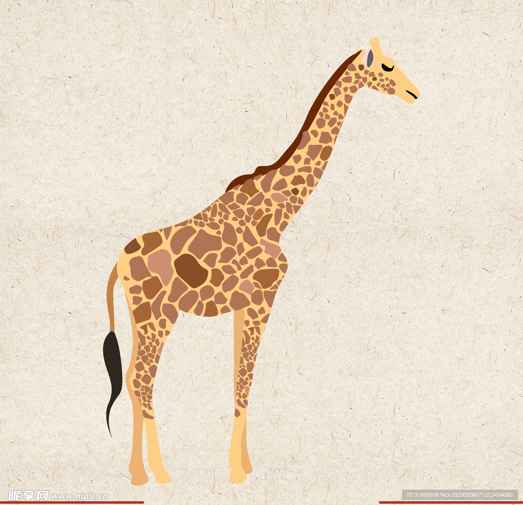 矢量动物 矢量植物 插画 手绘