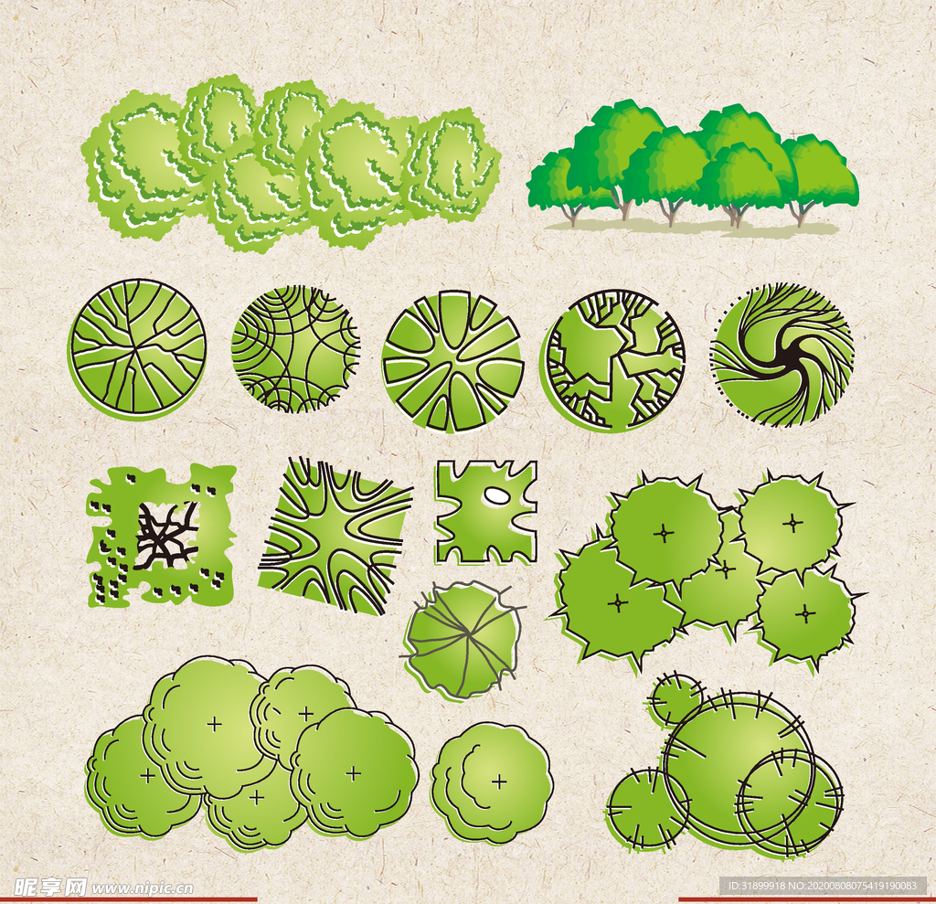 矢量动物 矢量植物 插画 手绘