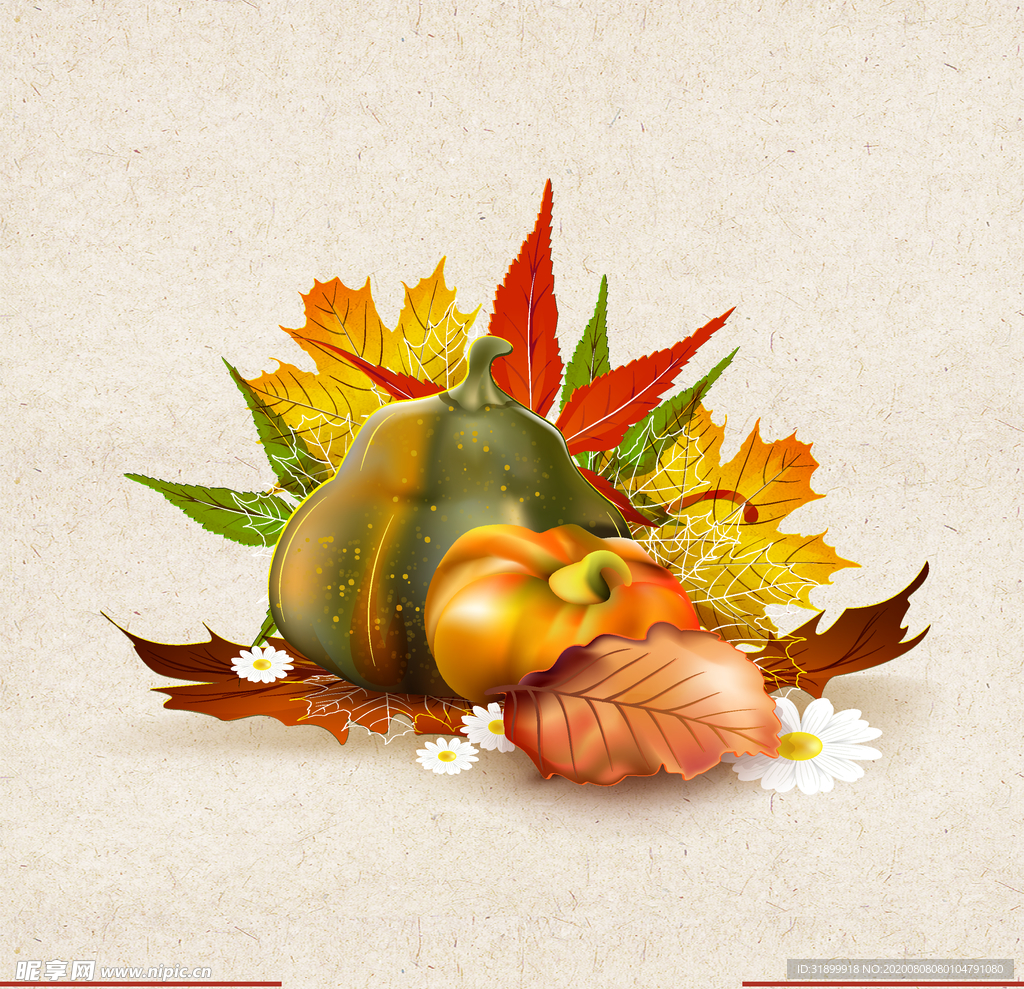 矢量动物 矢量植物 插画 手绘