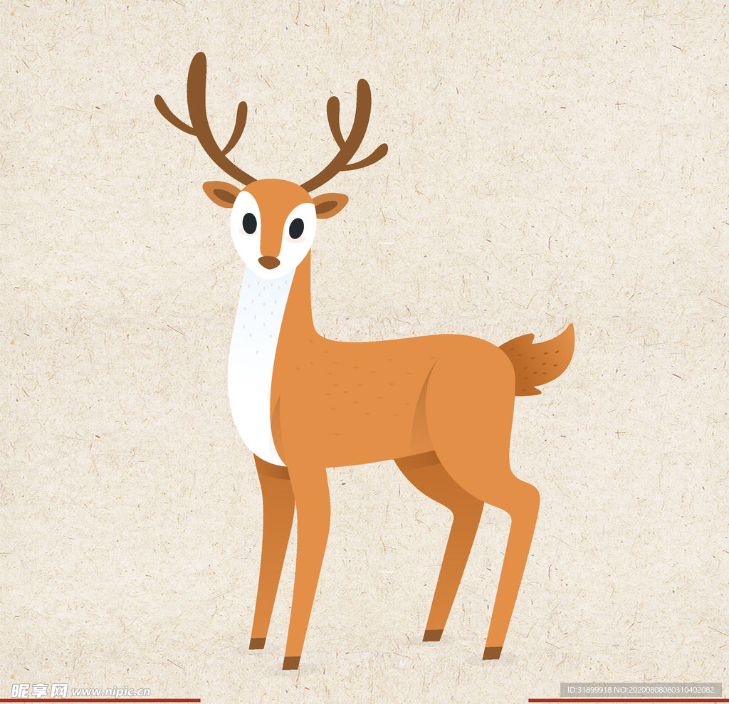 矢量动物 矢量植物 插画 手绘