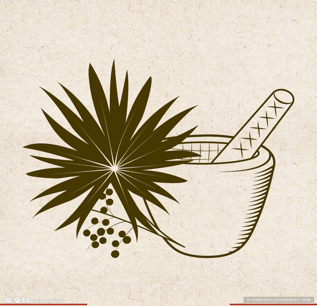 矢量动物 矢量植物 插画 手绘