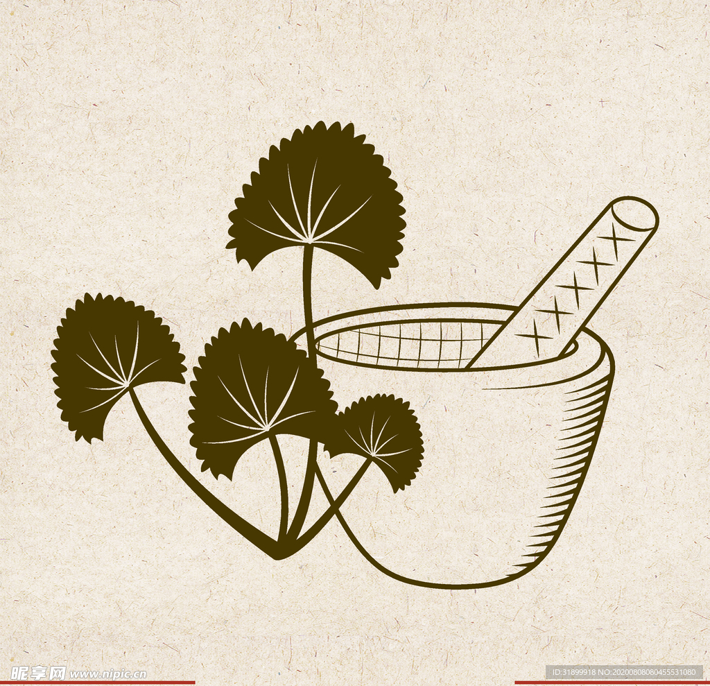 矢量动物 矢量植物 插画 手绘