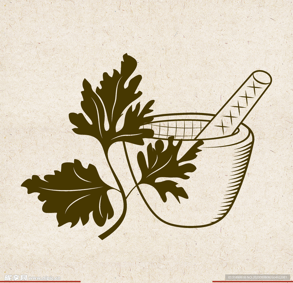 矢量动物 矢量植物 插画 手绘