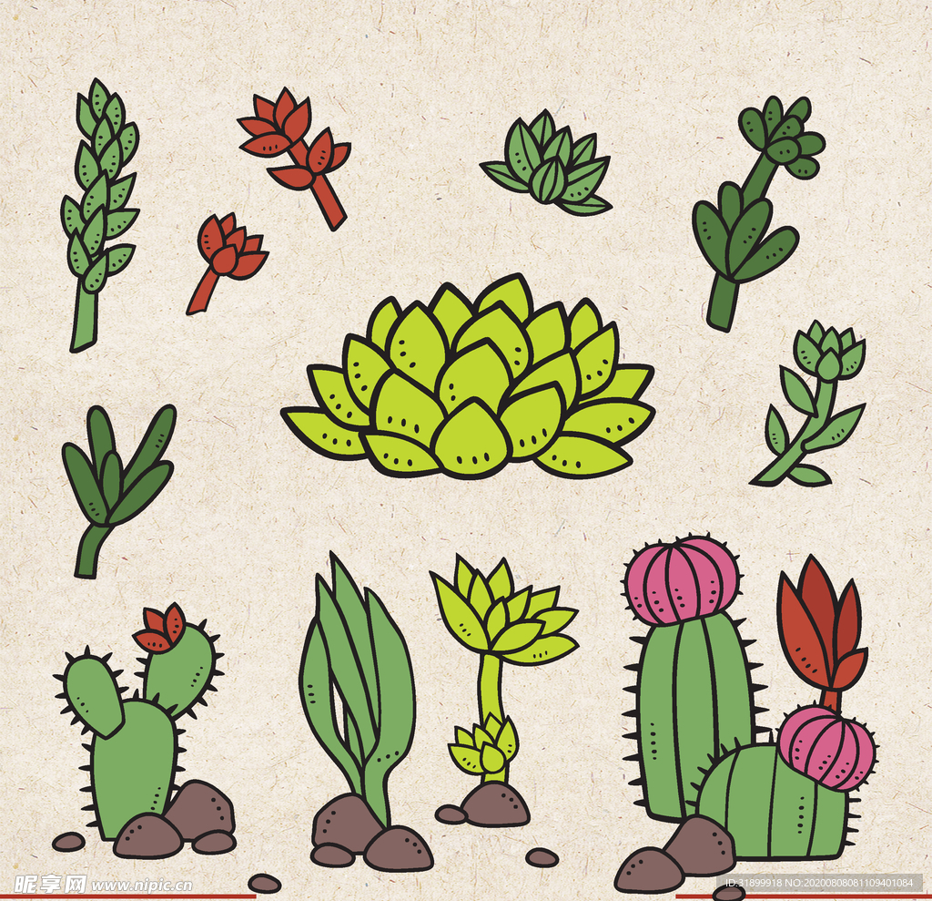 矢量动物 矢量植物 插画 手绘