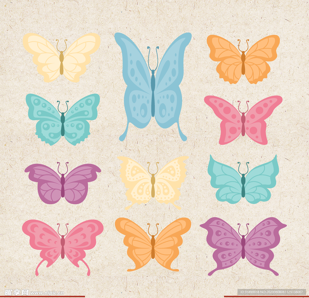 矢量动物 矢量植物 插画 手绘