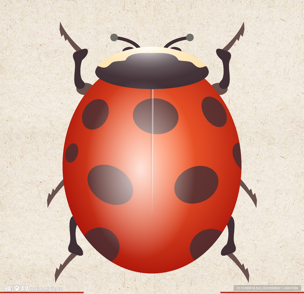 矢量动物 矢量植物 插画 手绘