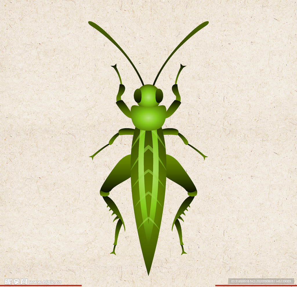 矢量动物 矢量植物 插画 手绘