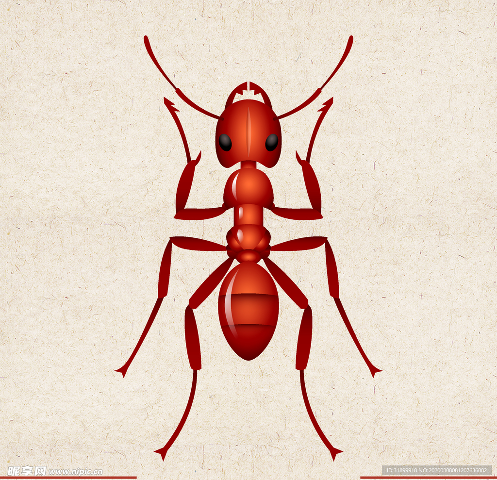 矢量动物 矢量植物 插画 手绘