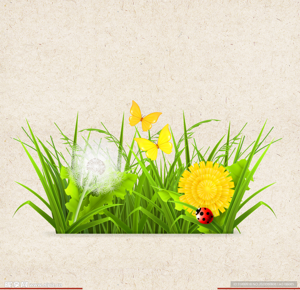 矢量动物 矢量植物 插画 手绘