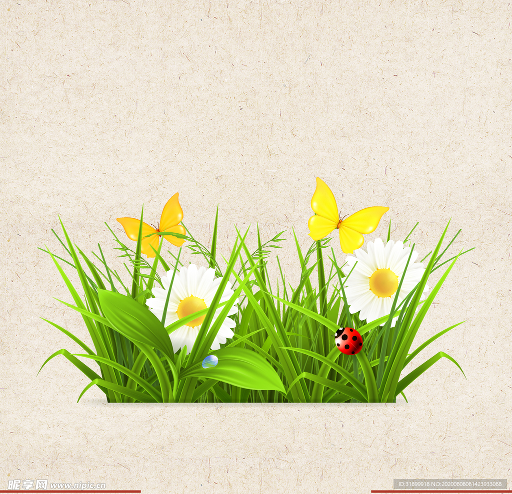 矢量动物 矢量植物 插画 手绘