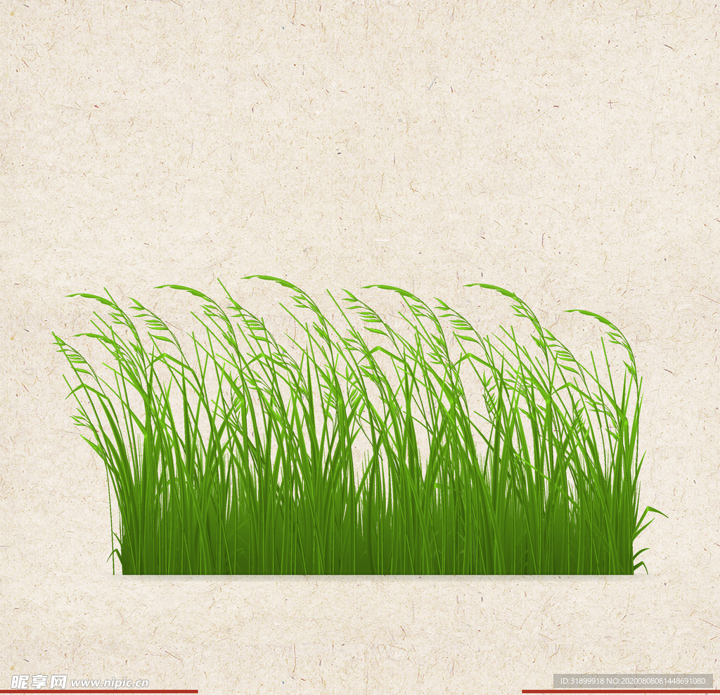 矢量动物 矢量植物 插画 手绘