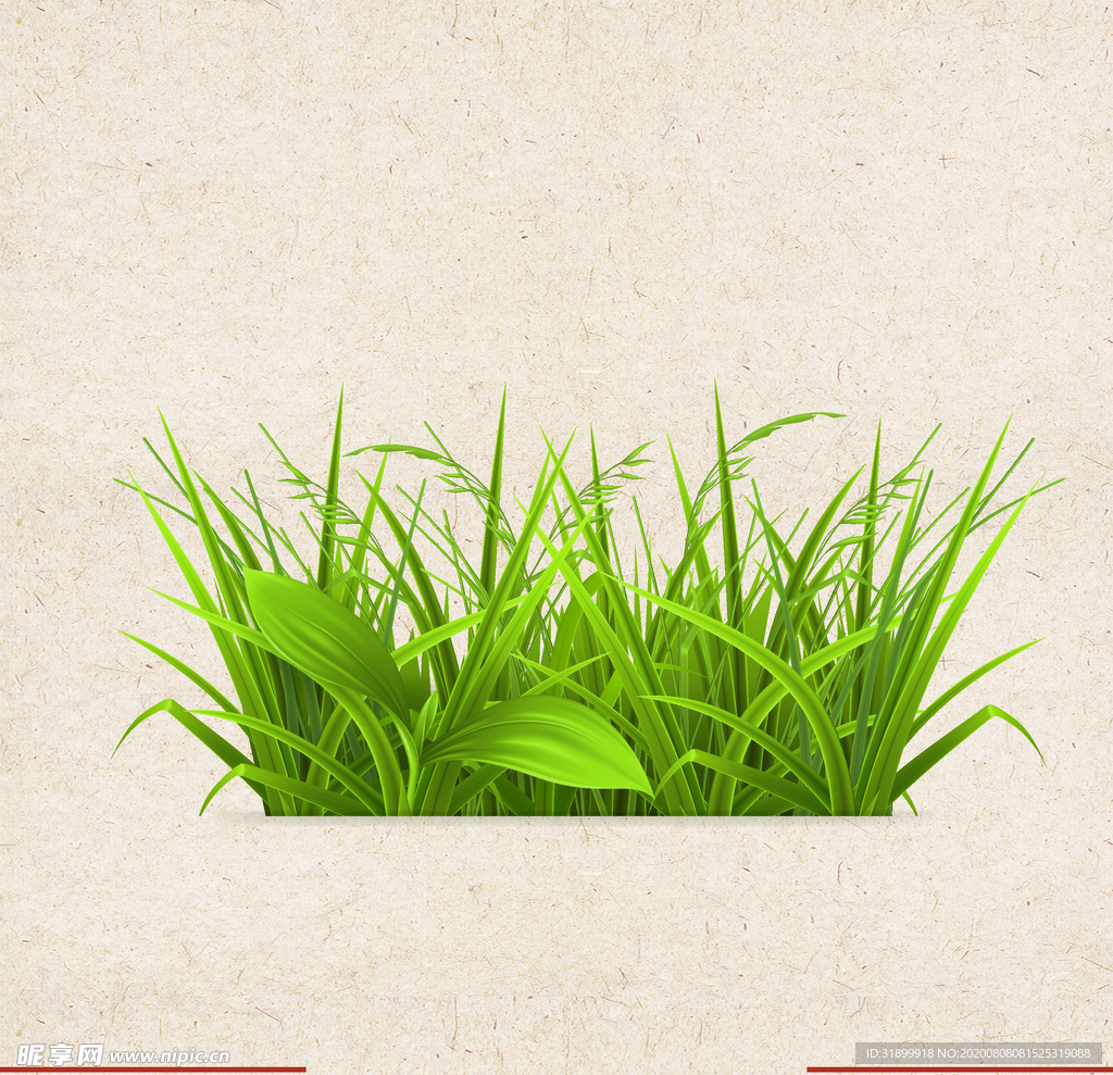 矢量动物 矢量植物 插画 手绘