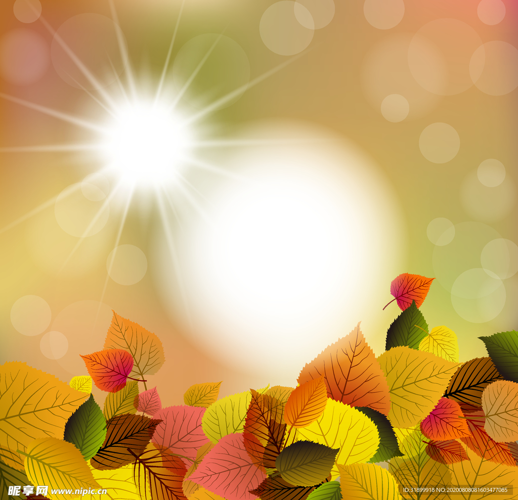 矢量动物 矢量植物 插画 手绘