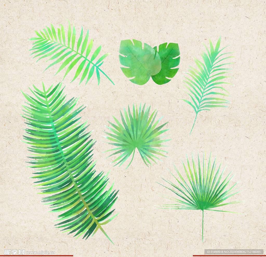 矢量动物 矢量植物 插画 手绘