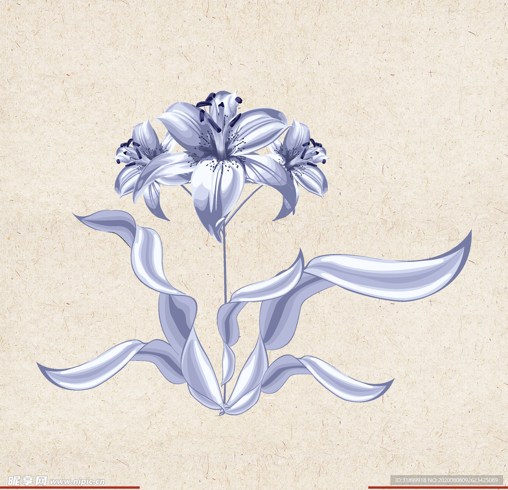 矢量动物 矢量植物 插画 手绘